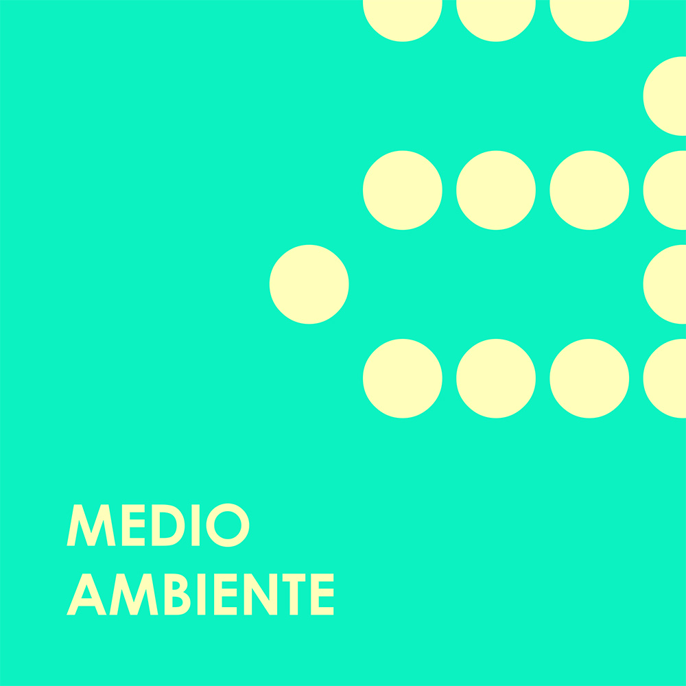 Medio Ambiente